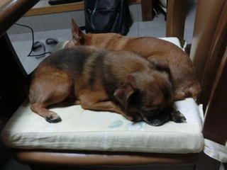 2012.10.11_qando02.jpg