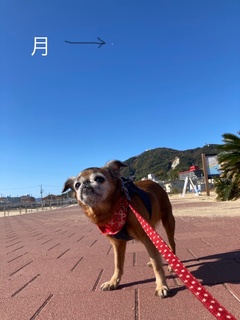 2021.11.28_02.JPG