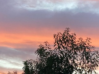 2022.10.11_01.jpg