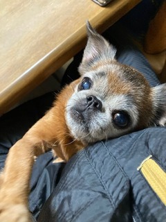 2022.2.28_07.JPG