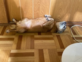 2022.7.28_06.jpg
