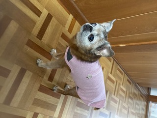 IMG_4434.jpeg