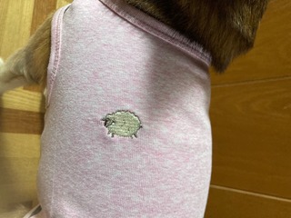IMG_4436.jpeg